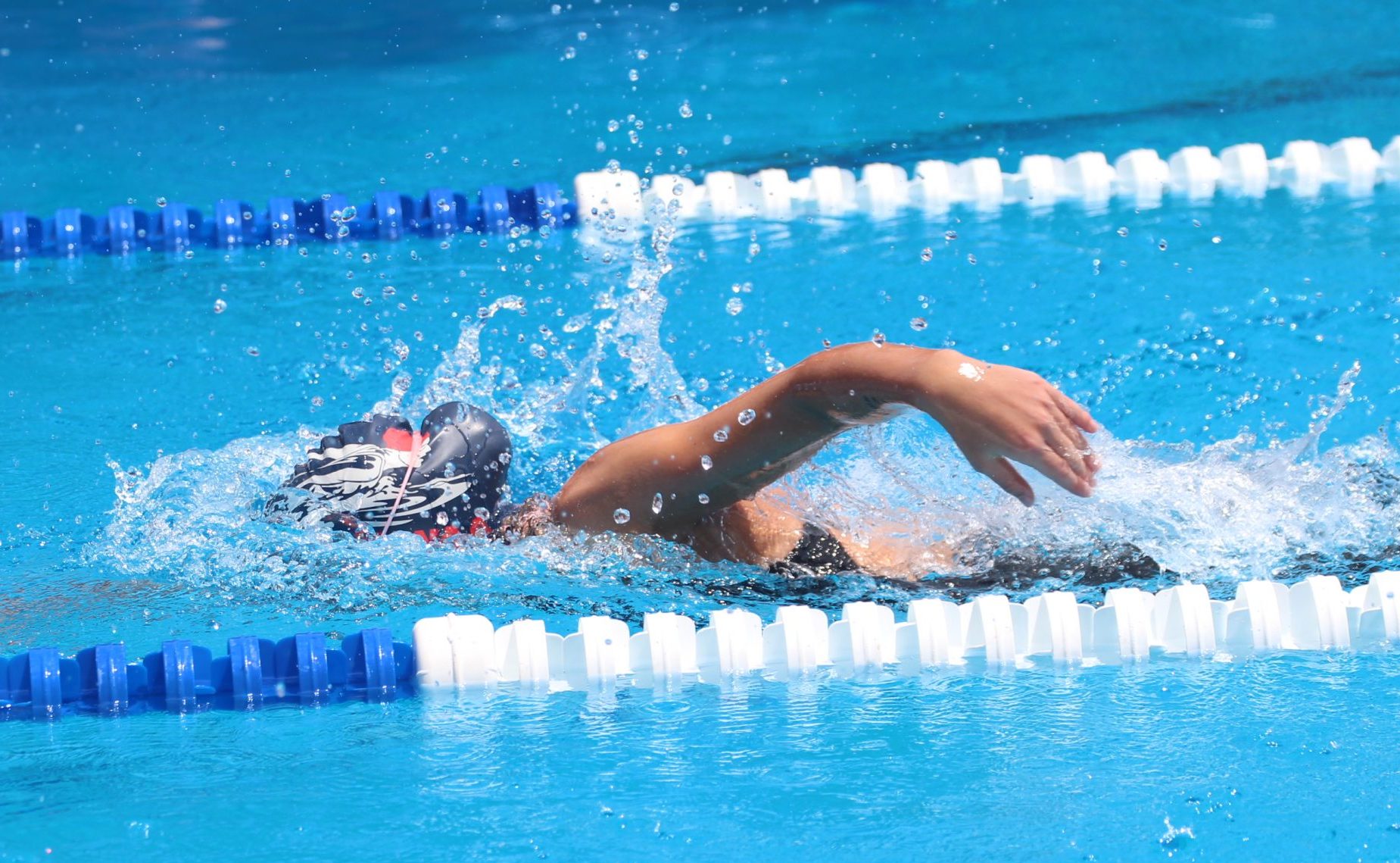 Toby Michell-Smith and Tayla Nott swim Country times