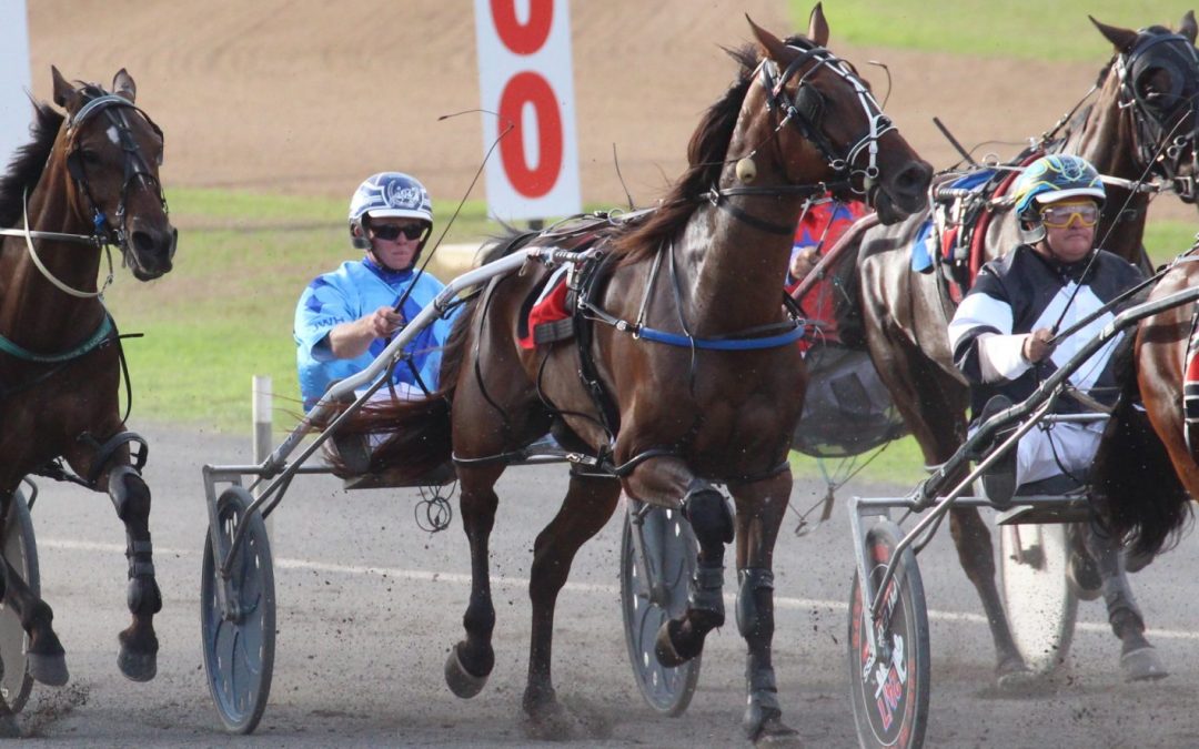 Corporal Luna races to Billy Grima Memorial victory for Jarred Hetherington