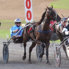 Corporal Luna races to Billy Grima Memorial victory for Jarred Hetherington