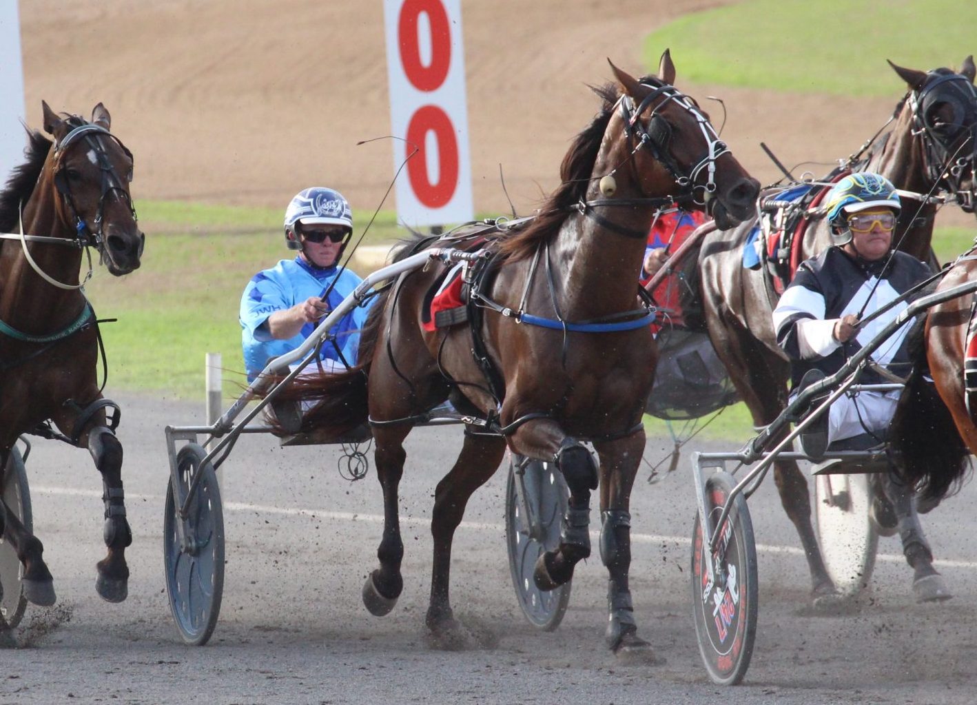 Corporal Luna races to Billy Grima Memorial victory for Jarred Hetherington