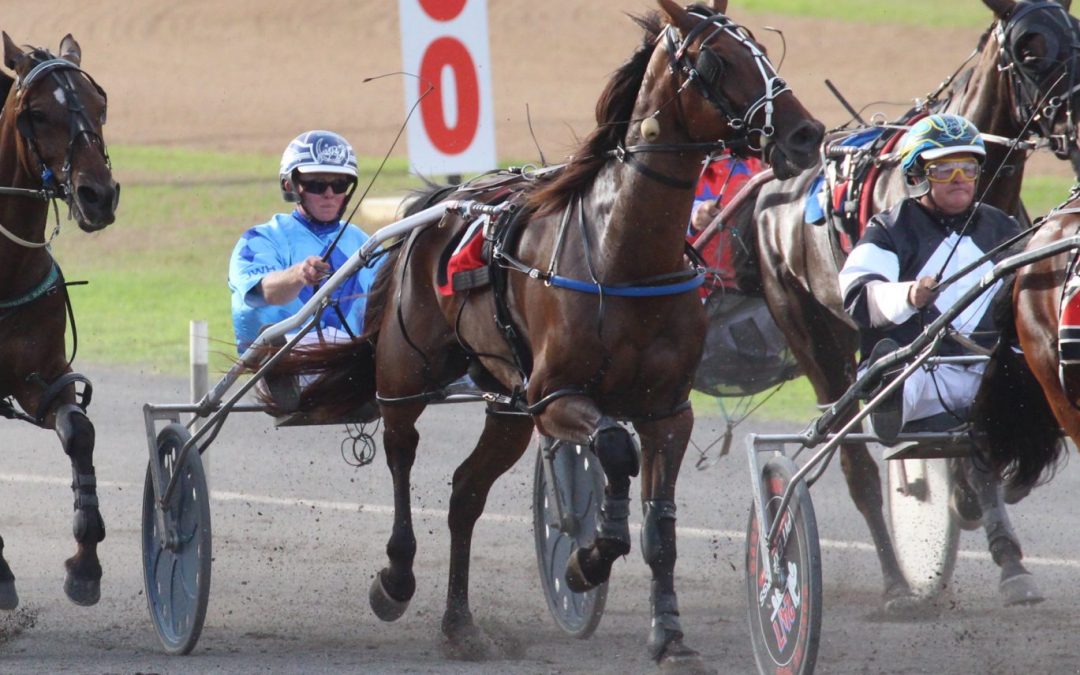 One winner and two placings in Tamworth