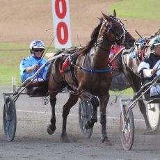 One winner and two placings in Tamworth