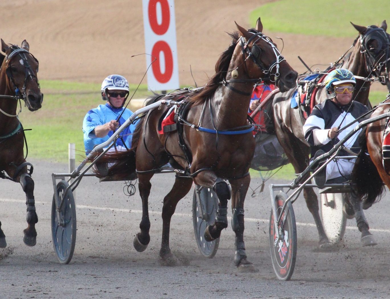 One winner and two placings in Tamworth