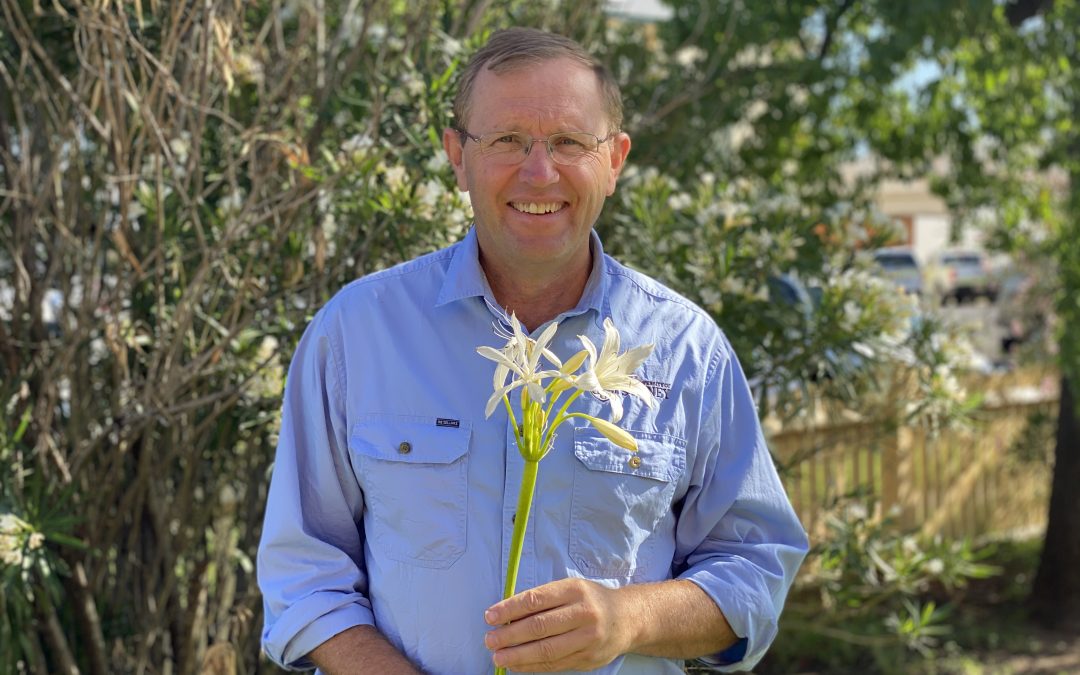 Blooming signs of life – have you seen the white flowers?