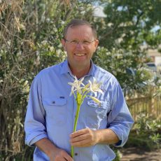 Blooming signs of life – have you seen the white flowers?