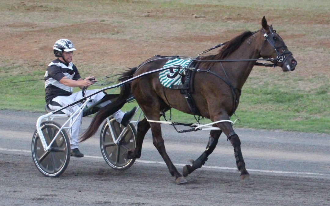 Four winners in 24 hours for Narrabri harness racing trainers at Queensland and Armidale