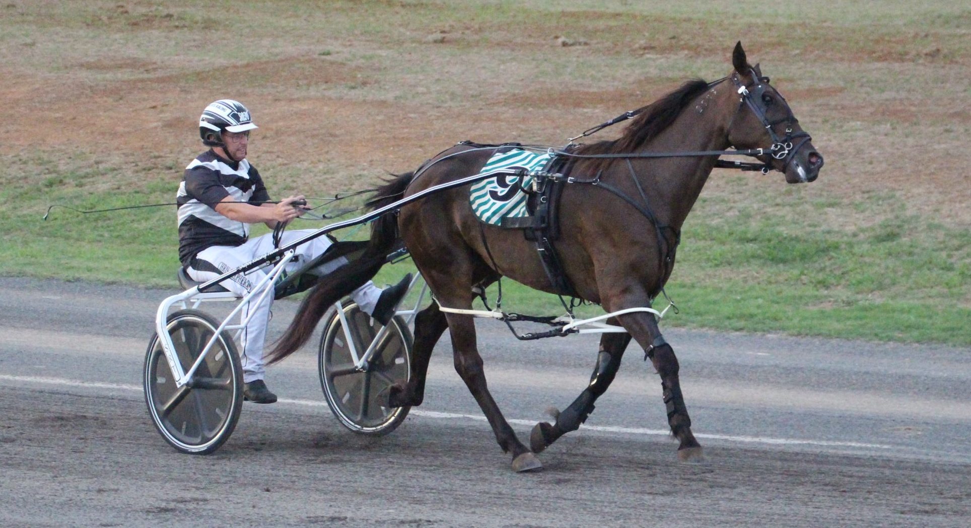 Four winners in 24 hours for Narrabri harness racing trainers at Queensland and Armidale