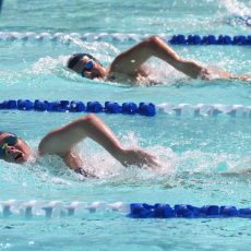 Narrabri Stingrays host home carnival