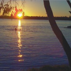Bore baths for Yarrie Lake?