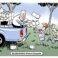 Cartoon 06/03/20