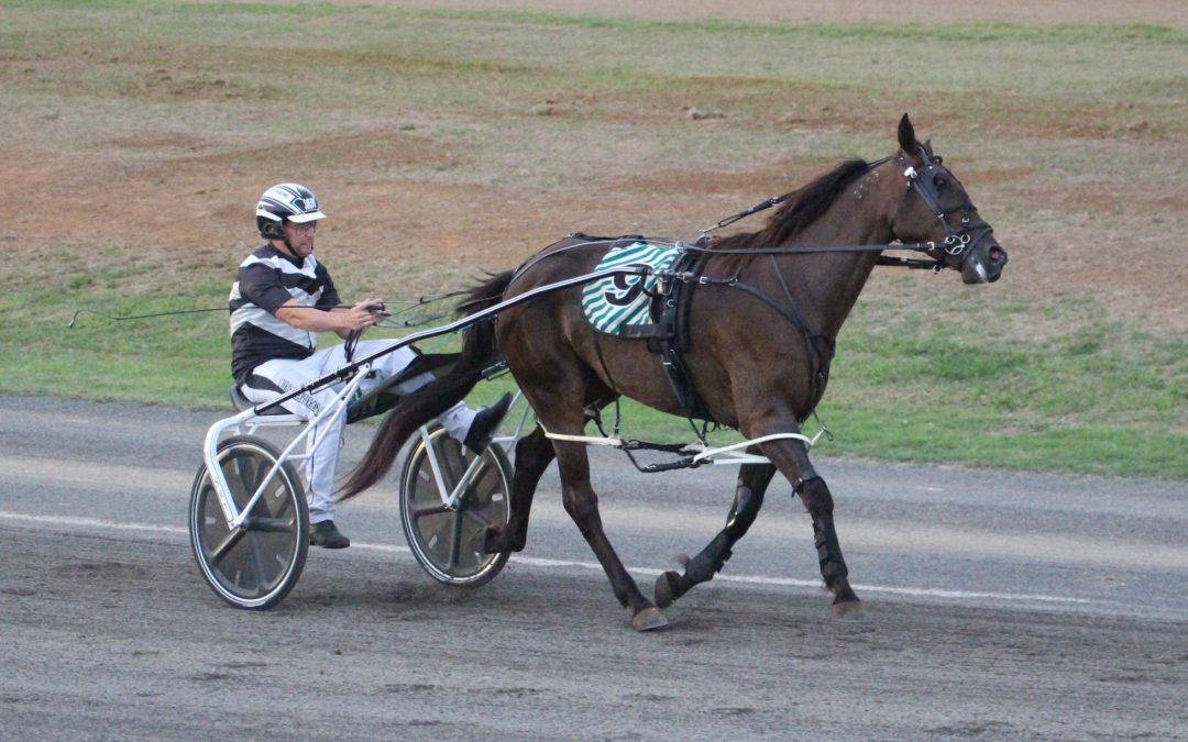 Kid Montana wins again at Albion Park on Saturday