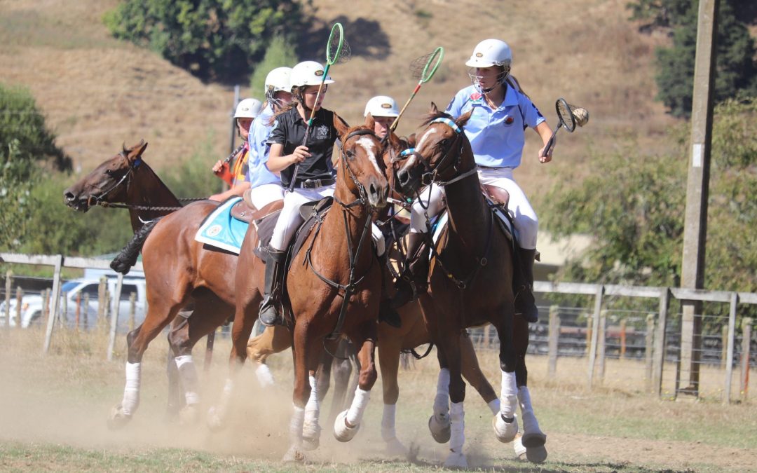 Molly takes on New Zealand during international series