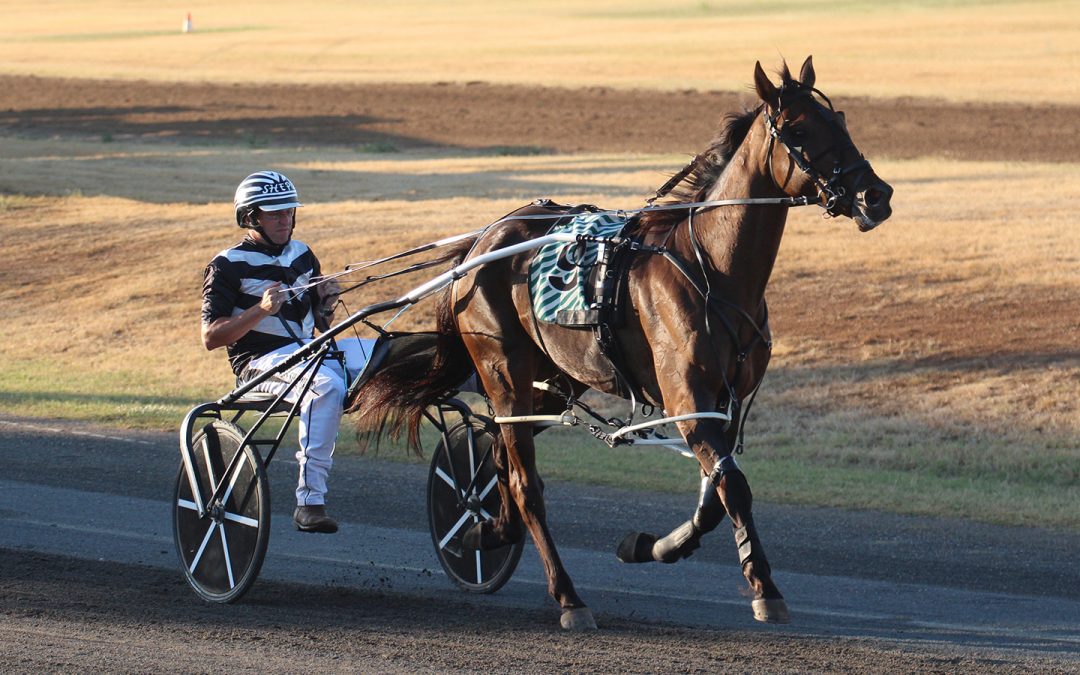 Kid Montana places second at Newcastle meeting