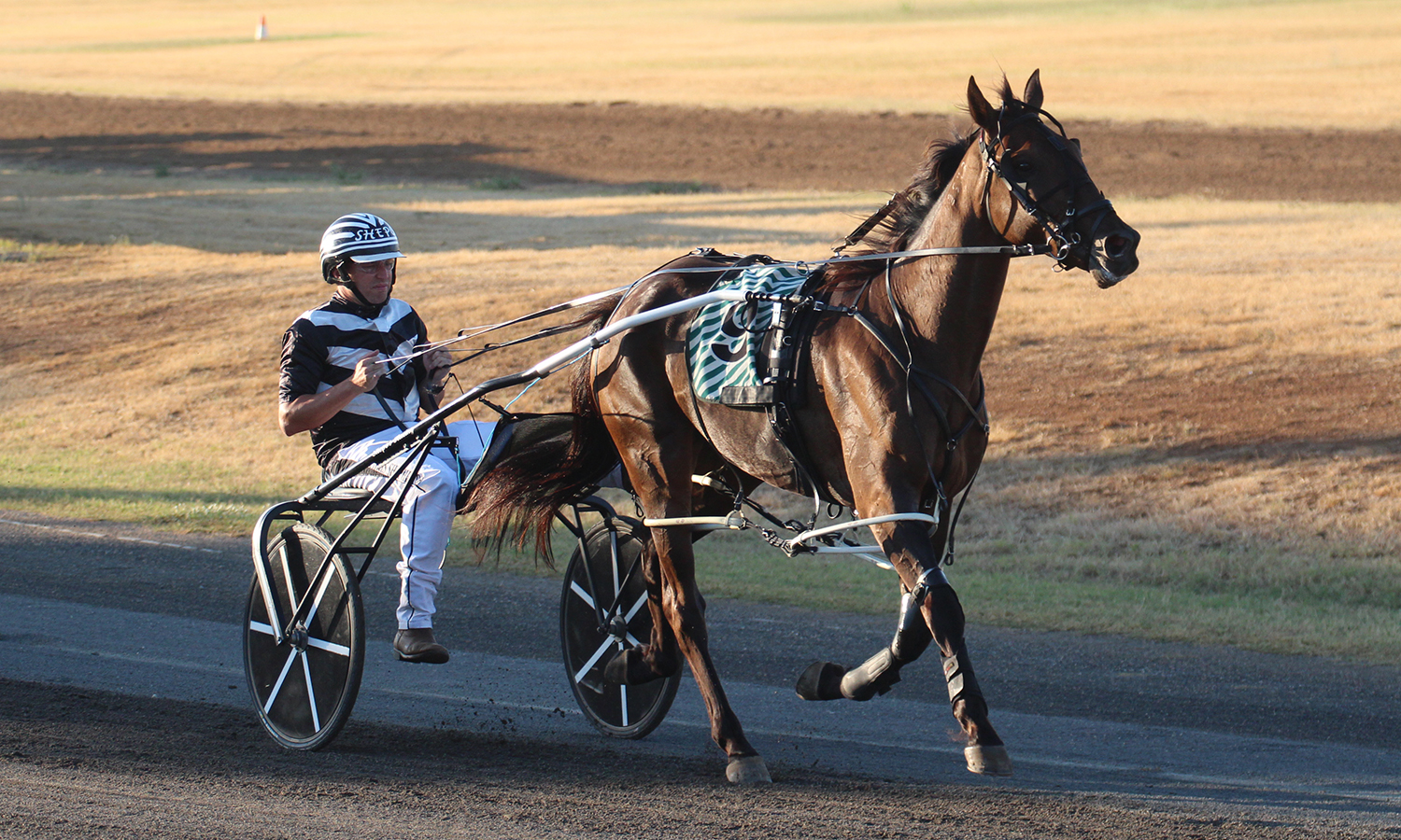 Kid Montana places second at Newcastle meeting