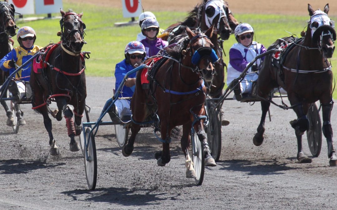 Jarred Hetherington-trained Night Lights wins first race on Australian soil