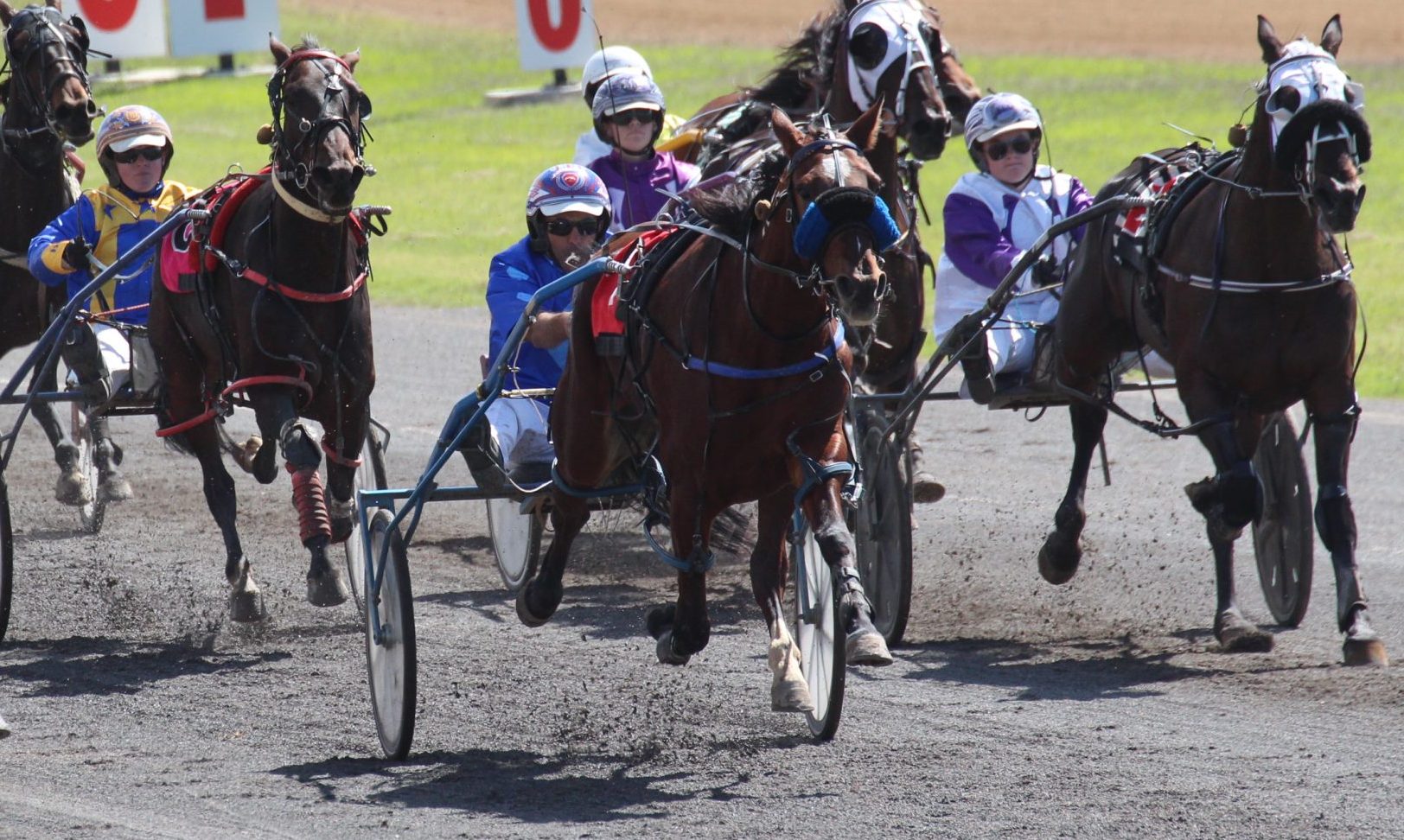 Jarred Hetherington-trained Night Lights wins first race on Australian soil