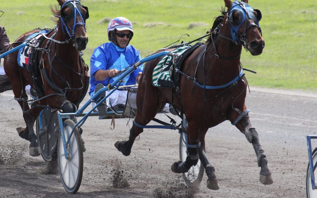 Two Narrabri-trained pacers run second at the Tamworth Paceway