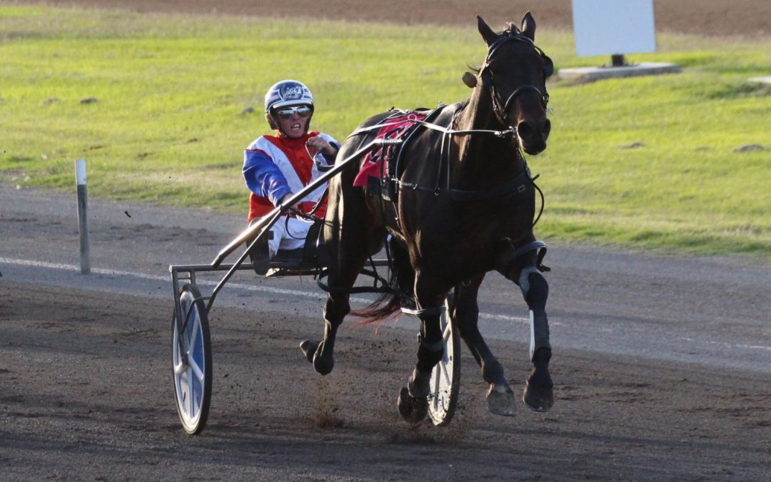 Eight races including the Narrabri Cup contested on Easter Monday at the Tamworth Paceway