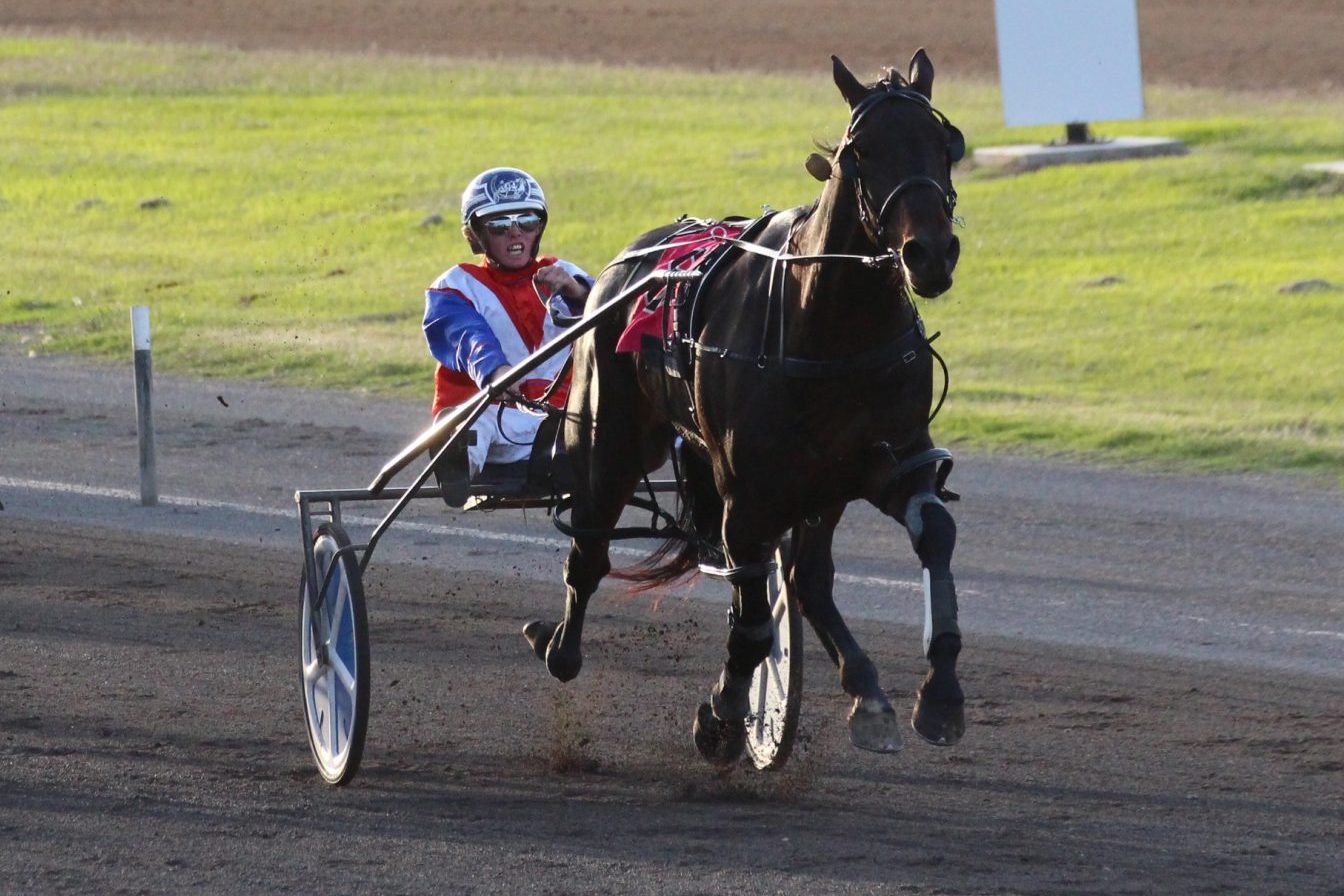 Eight races including the Narrabri Cup contested on Easter Monday at the Tamworth Paceway