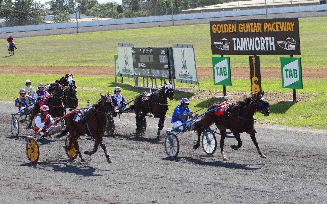 Narrabri Harness Racing Club meet at Tamworth Paceway results