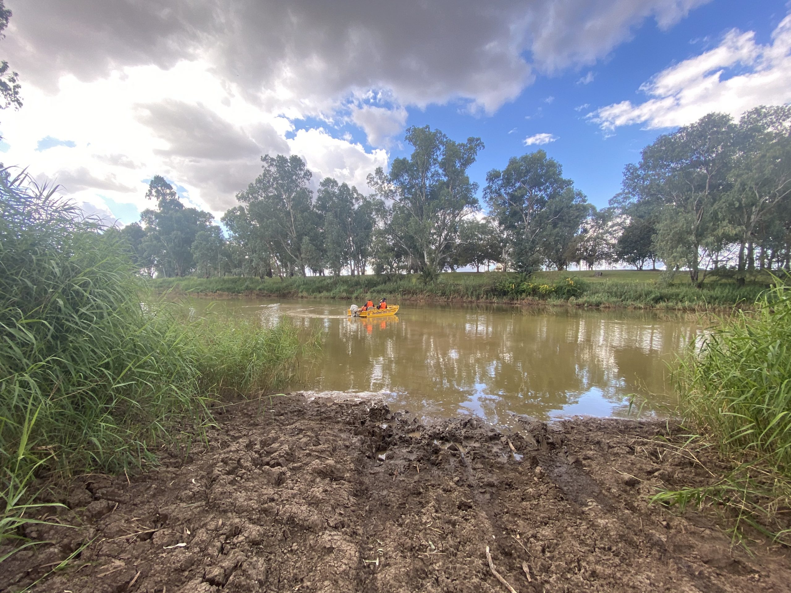 Crews investigating ‘discolouring’ of water in the Narrabri Creek