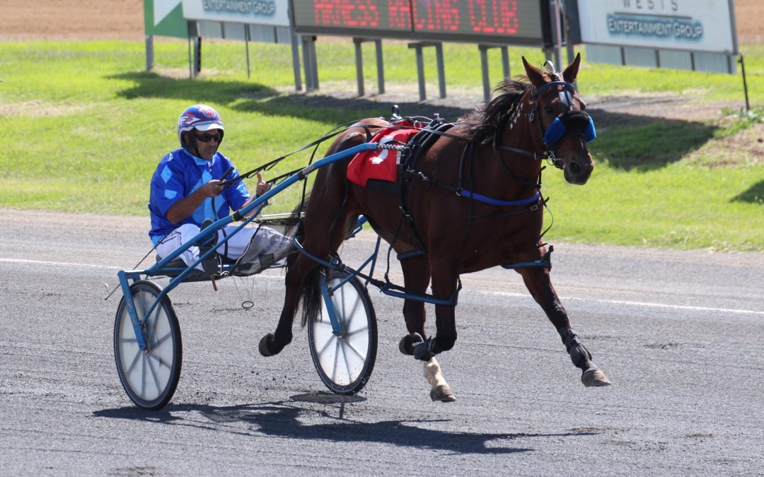 Night Lights wins again for Jarred Hetherington at Tamworth Paceway