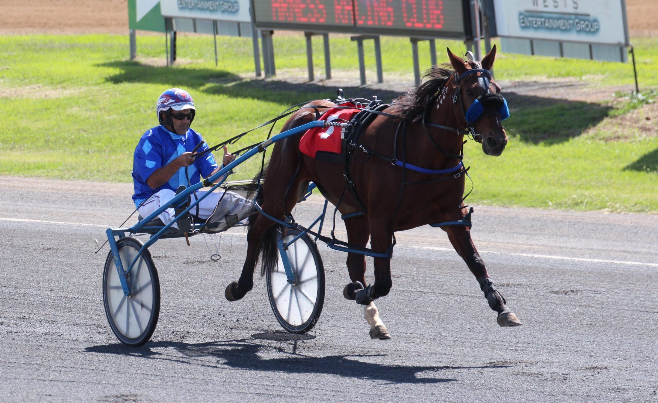 Night Lights wins again for Jarred Hetherington at Tamworth Paceway