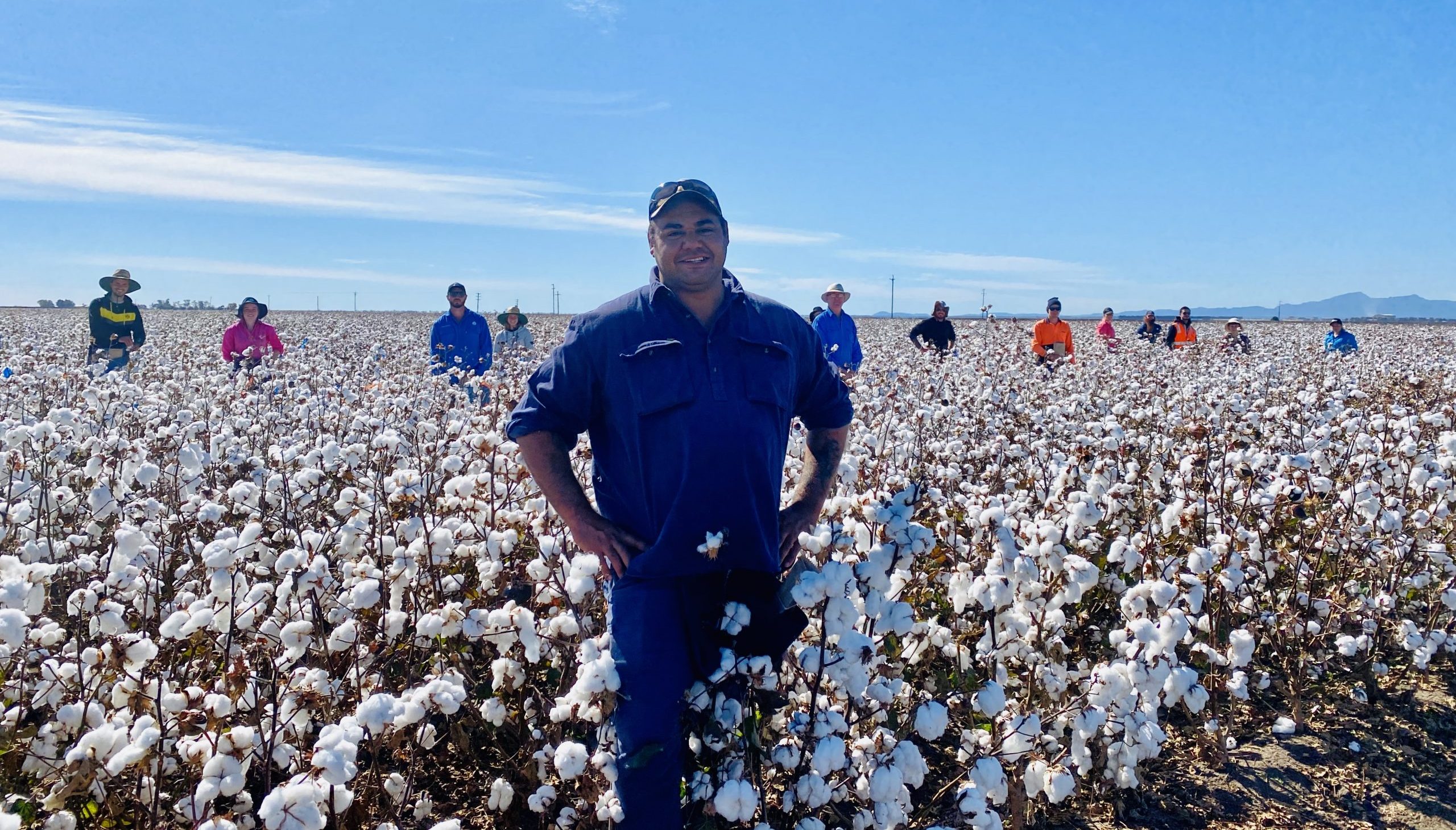 Cotton pickers hard at work at Australian Cotton Research Institute
