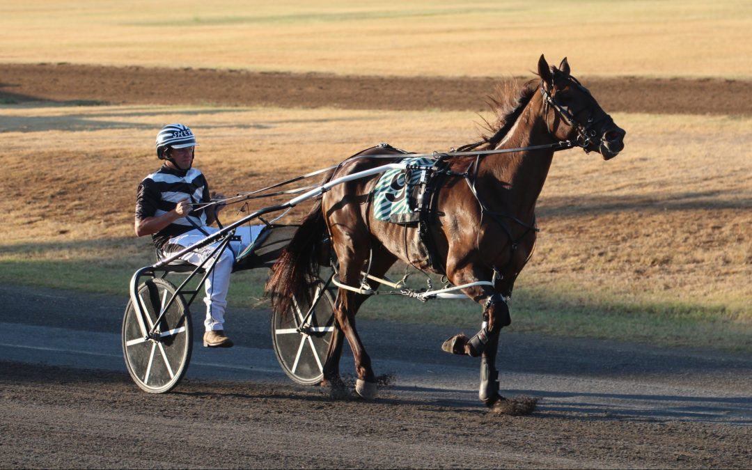 Narrabri pacers place in Newcastle
