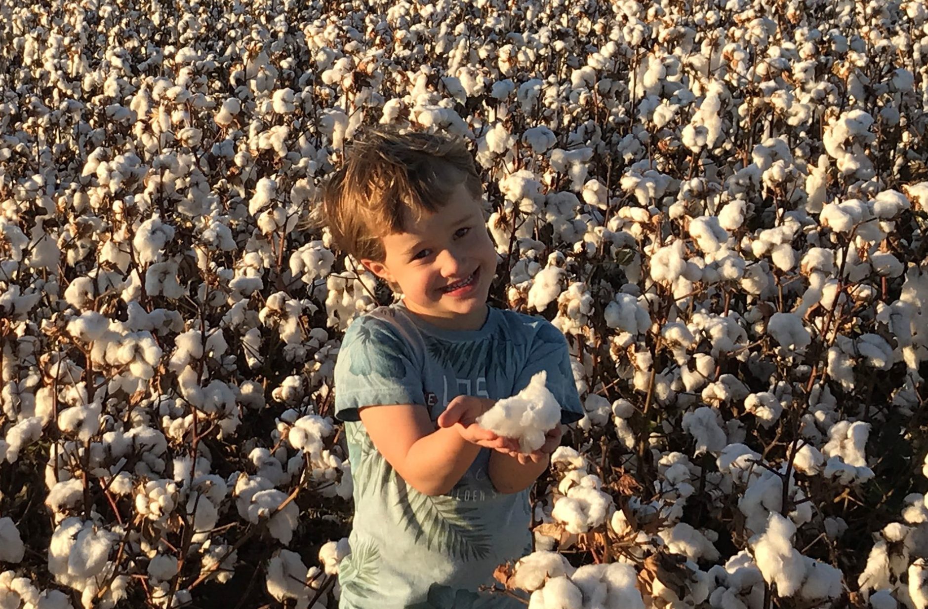 class trip picking cotton