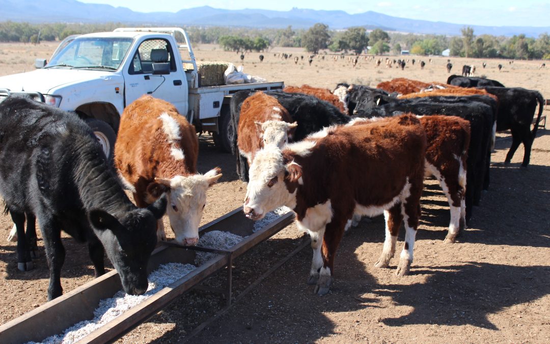 Government support for farmers ‘among the lowest’
