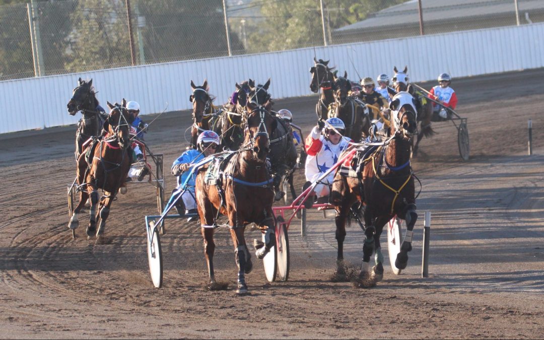 Night Lights wins again for Hetherington and Bettor Getta Lover runs a close second place