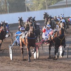Night Lights wins again for Hetherington and Bettor Getta Lover runs a close second place