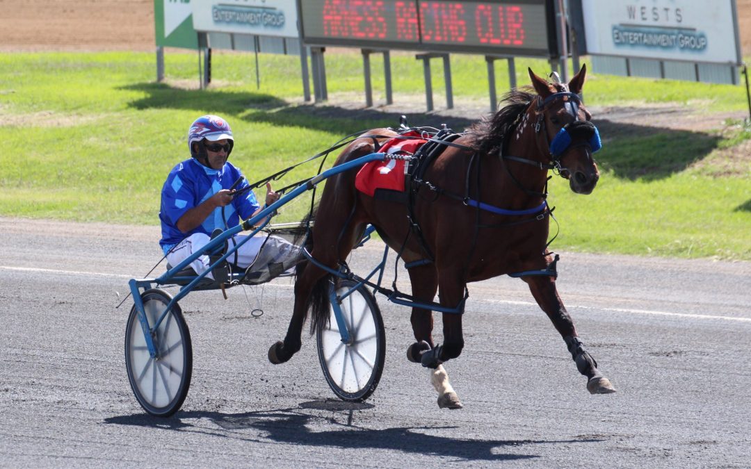 Capital Cullect and Night Lights place at Tamworth Paceway