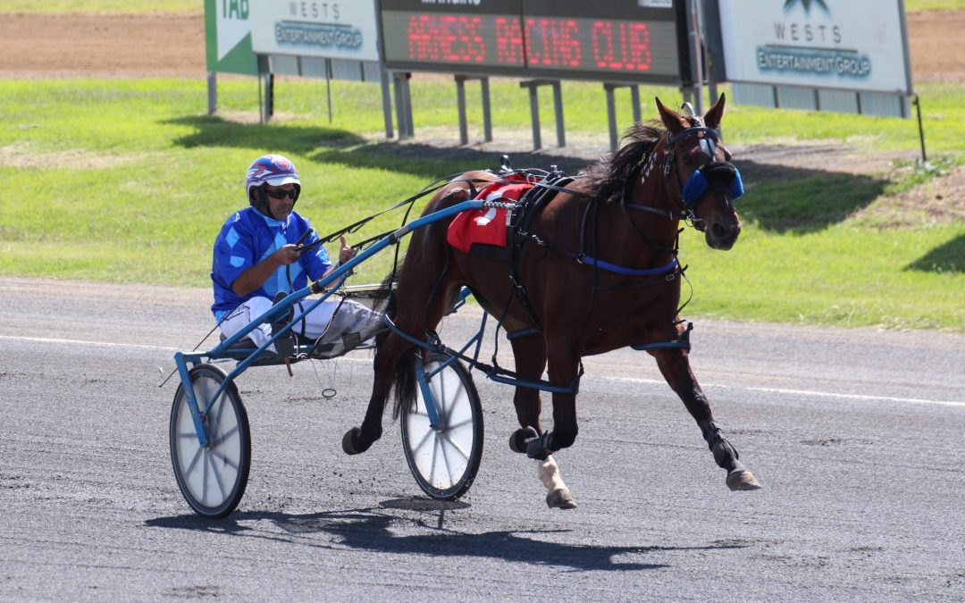 Two Narrabri pacers win at Tamworth meeting