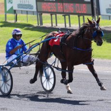 Two Narrabri pacers win at Tamworth meeting