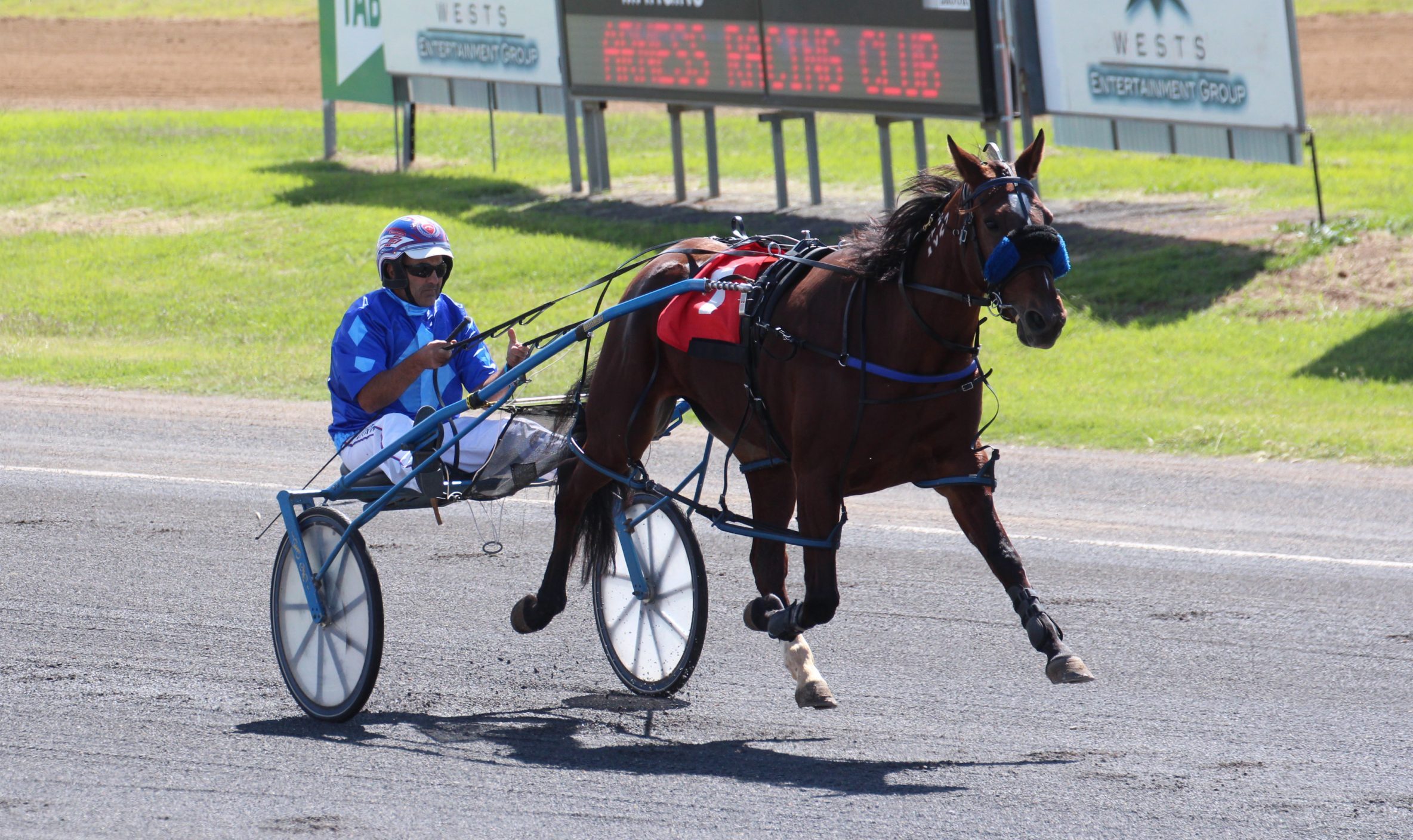 Two Narrabri pacers win at Tamworth meeting