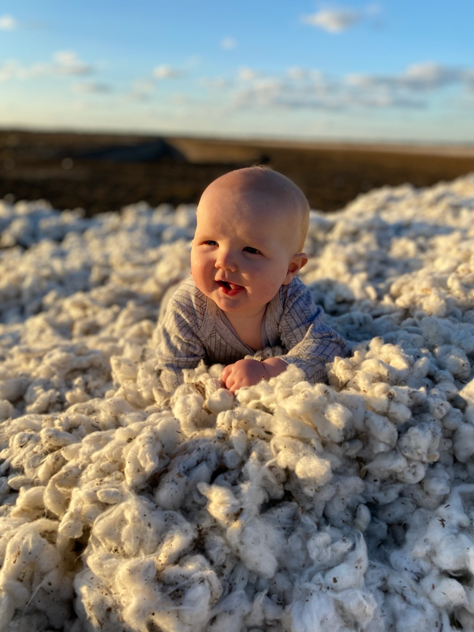 Ben and Jess Swansbra’s son Otis playing in the cotton.