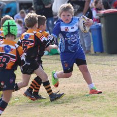 NSW Government announces July 1 start date for junior sport across the state