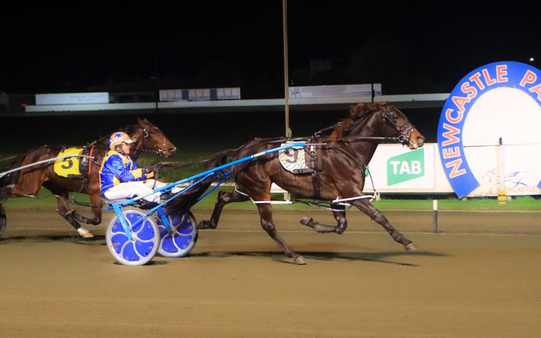 Kid Montana races to his first Newcastle win