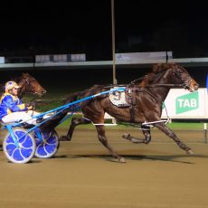 Kid Montana races to his first Newcastle win
