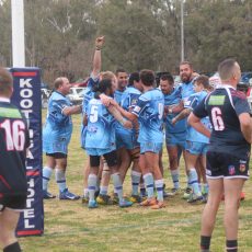 Group 4 season abandoned: Blues disappointed but president supports decision