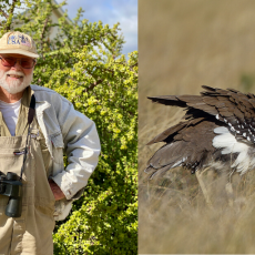 Have you busted a bustard lately?