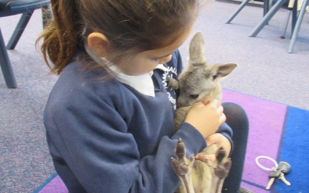 A special visitor hops into Namoi Valley Christian School