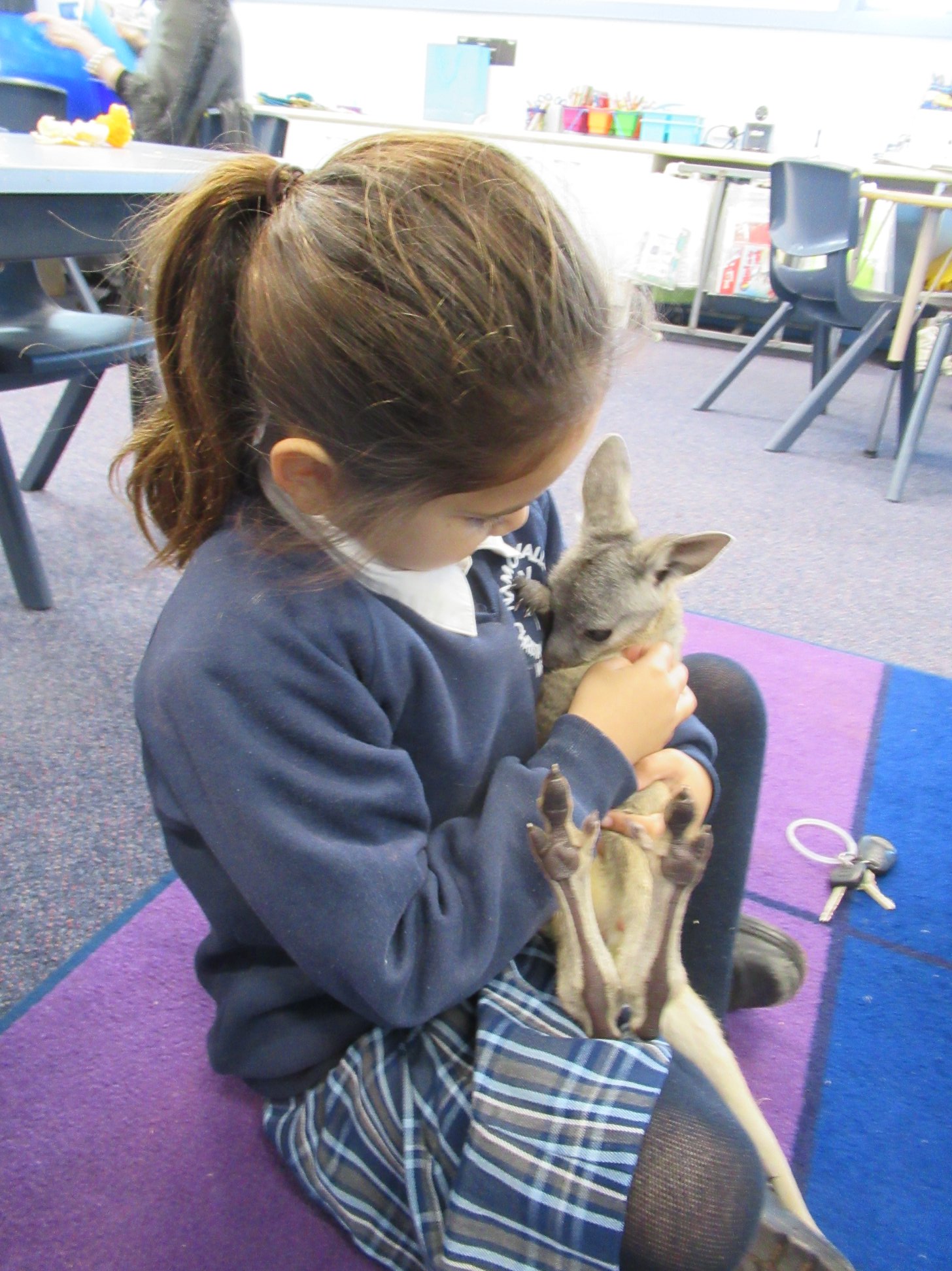 A special visitor hops into Namoi Valley Christian School