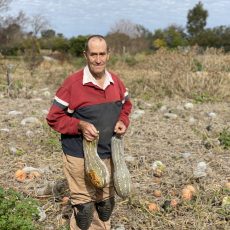 What’s happening to our pumpkins?