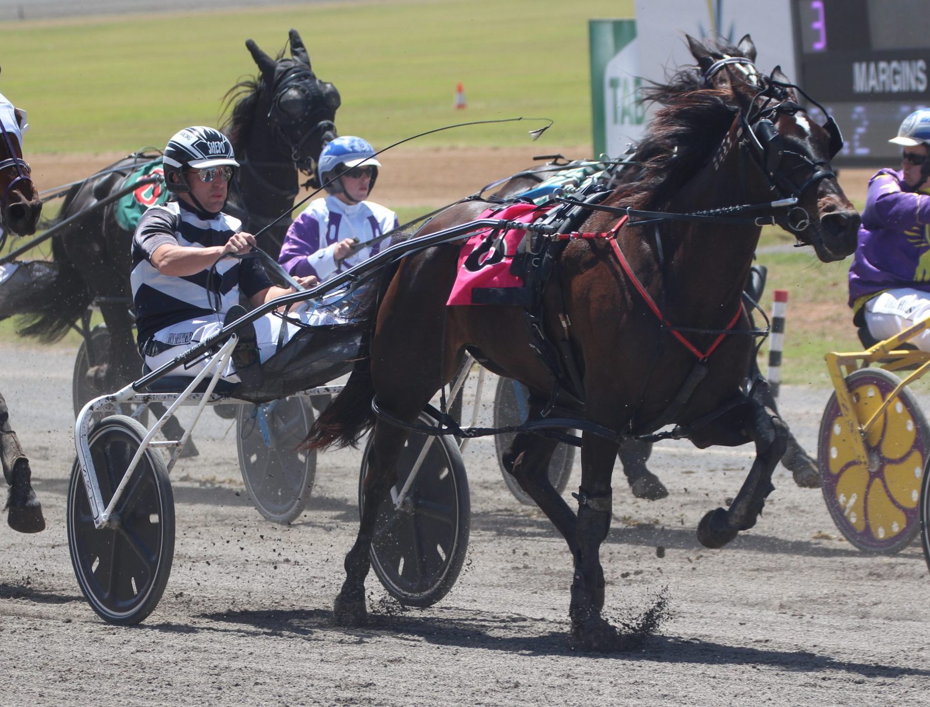 Chris Shepherdson drives Future Fun to Tamworth Paceway victory
