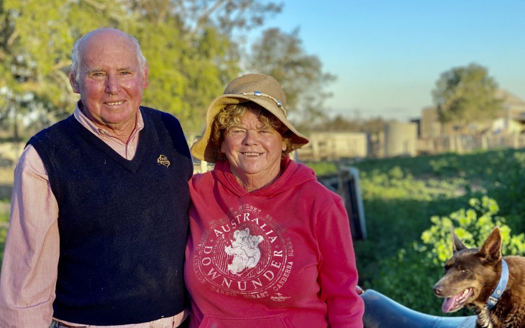 Land bounces back to life but impacts of the drought far from over