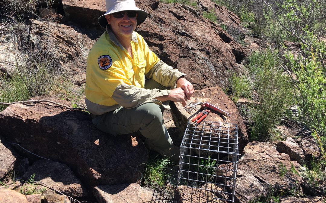 Emergency action kept endangered species alive