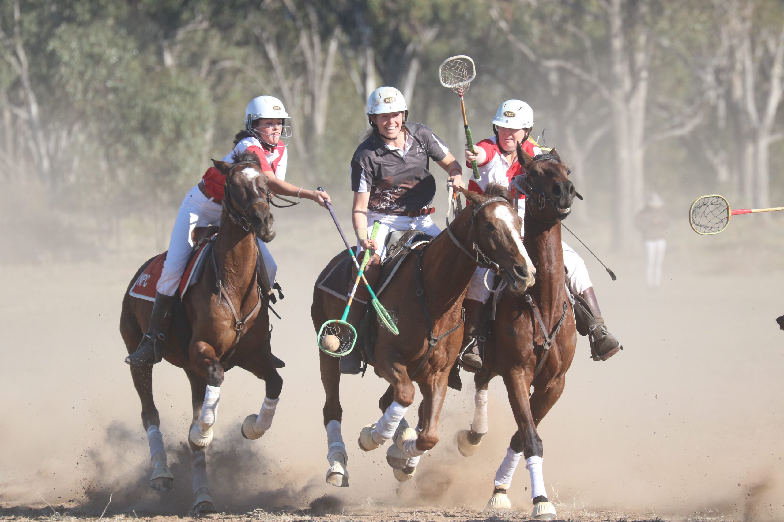 Narrabri and Gully polocrosse clubs cancel their carnivals